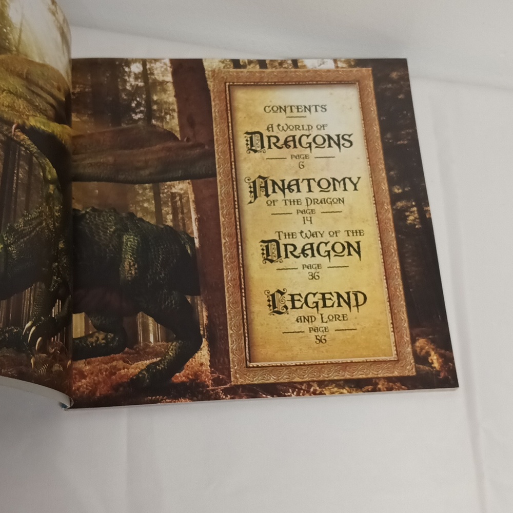 The book of Dragons secrets of the Dragon Domain paper cover book EUC. - Picture 5 of 5